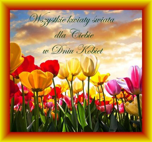 Wszystkie kwiaty świata dla Ciebie w dniu kobiet